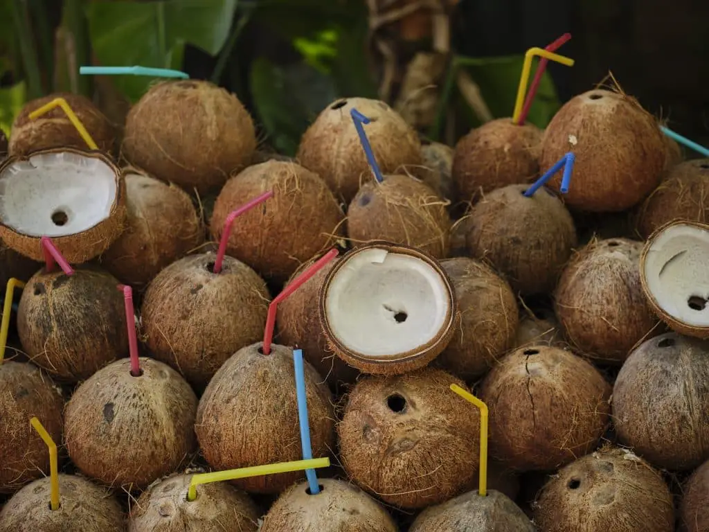 noix de coco avec des pailles